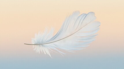 Obraz premium White feather on pink-blue background with light pink sky in the backdrop
