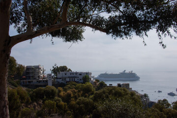 CATALINA ISLAND USA 