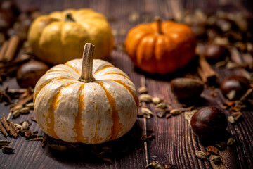 Pumpkins on Wooden Surface with Autumn Tones, Seeds, and Chestnuts