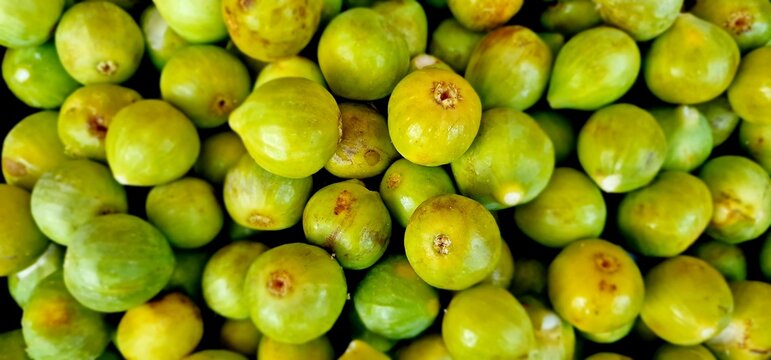 brevas figs freshly picked from the fig tree energetic fruit