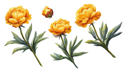 Beautiful Yellow and Orange Peonies in Watercolor Style Generative AI