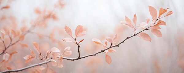 Delicate autumn leaves on a branch against a soft, blurred background in a serene outdoor setting