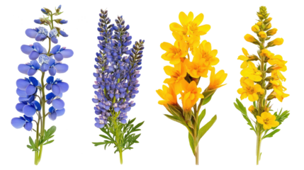 Vibrant Collection of Wildflowers Displayed on a White Background Generative AI