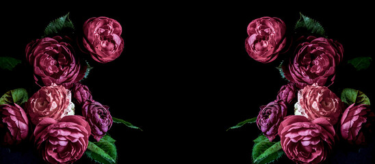 Banner. peony burgundy on a black background. Blur and selective focus. Low key photo. © Yevhenii Khil
