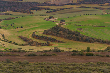Fototapeta premium A view of beautiful, peaceful farmland, interspersed with trees and rolling terrain.