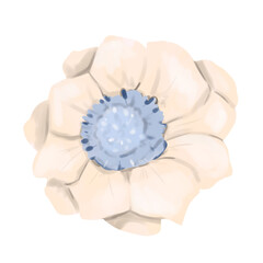 Cream anemone flower with blue center in picturesque style, element from magic library set, for printing and web design