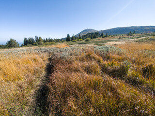 Autumn panorama of Vitosha Mountain, Bulgaria