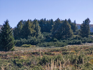Autumn panorama of Vitosha Mountain, Bulgaria