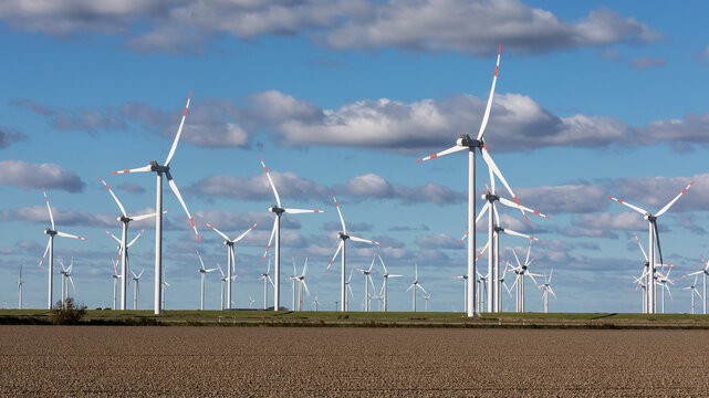 Windpark mit vielen Windr&auml;dern bei Struckum in Nordfriesland Schleswig-Holstein, Deutschland.