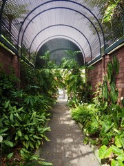 greenhouse with plants