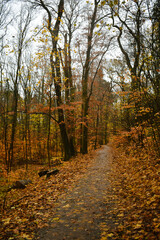Obraz premium otoño