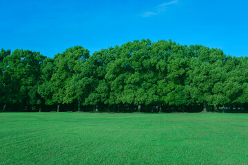 Green Park