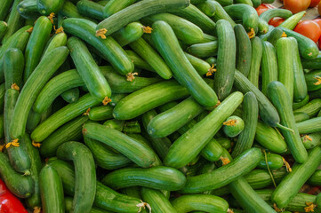 A pile of fresh green cucumbers, ready for sale at a farmers market