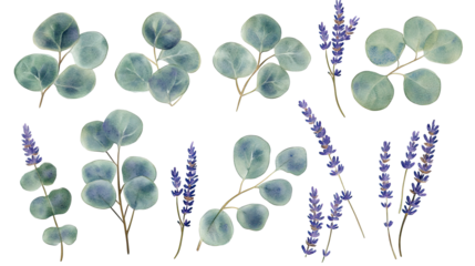 Eucalyptus and Lavender Illustrations for Decor Generative AI