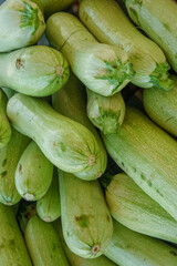 A close-up view of green zucchinis, piled together, showcasing their smooth texture and fresh color