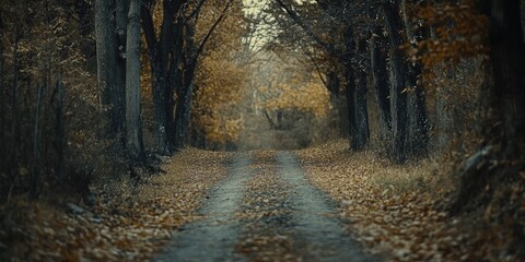 Obraz premium Autumnal Rural Road