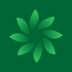 flower leaves vector design illustration