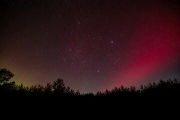 Red Aurora Arc over a young pine forest