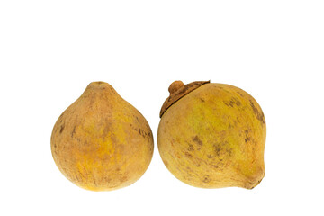Delicious tropical fruit - Quararibea cordata. White background.