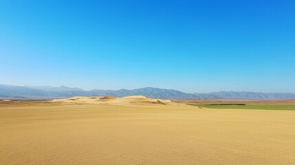 Vast desert landscape, golden sand dunes, clear blue sky, distant mountains on the horizon
