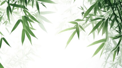 Fototapeta premium A serene composition of bamboo leaves against a light background.
