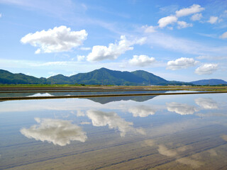 Flooded rice fields and mountains before rice planting