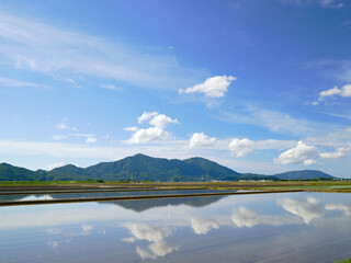 Flooded rice fields and mountains before rice planting