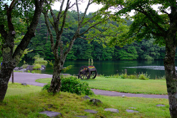 garden with a lake and a cart of full o flowers