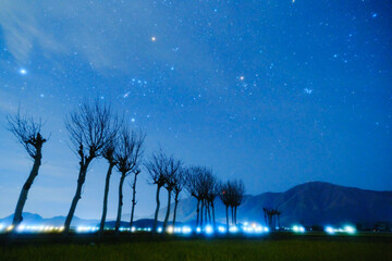 Orion and winter stars, with trees for hanging rice in Niigata, Japan