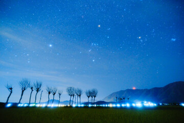 Orion and winter stars, with trees for hanging rice in Niigata, Japan