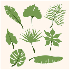 Hand drawn color branches of tropical plants leaves with background cream