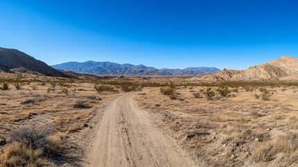 Fototapeta premium Endless Horizons of Desert Roads and Open Skies