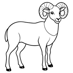 Obraz premium illustration of sheep