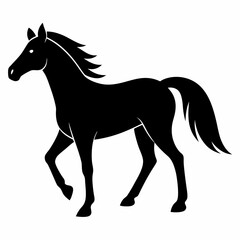 horse silhouette isolated on white