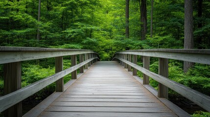 Fototapeta premium Wooden Bridge Leading Through a Lush Green Forest