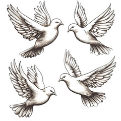 Obraz premium Dove Tattoos Representing Peace and Love