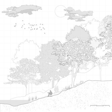 Architectural Drawings, Minimal style cad tree line drawing, Side view, set of section mountian forest outline symbol for landscape design drawing. Vector illustration in stroke fill in white.