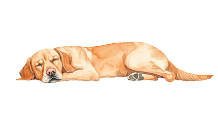 Watercolor Illustration of a Yellow Labrador Retriever Sleeping
