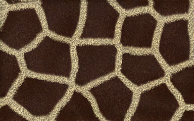 skin texture