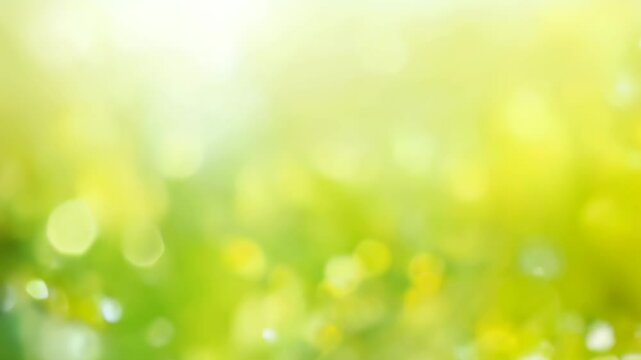 Summer meadow with flowers and bokeh - abstract nature background