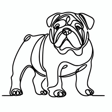 recommend clip art: English bulldog sketch line art drawing illustration, bulldog outline silhouette element design
