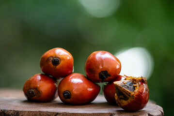 Fresh palm fruits on natural background.