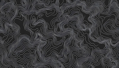 Seamless earth line topographic map organic pattern print. High quality illustration. Wavy lines shaped like the contours of the land. Nature inspired design for surface pattern print isolated with 