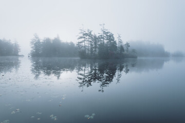 Fototapeta premium Low Angle Moody Lake Misty Trees Close to Surface. Wallpaper Nature Background Pattern. Cool Blue Foggy Clouds. Early Morning Scene