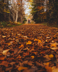 Blonde Girl Stands at End of Forest Trail Peak Fall Foliage Path Covered in Leaves. End of Autumn Season in New England New Hampshire Walking Hike