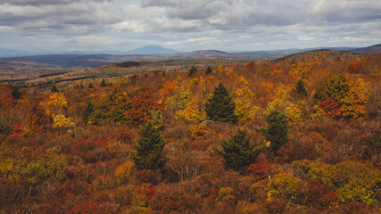 Wide Landscape View From Pitcher Mountain Fire Tower Lookout Forest Service New England New Hampshire Fall Foliage Autumn Season Orange Brown Trees