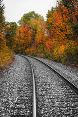 Scenic Fall Foliage Train Tracks in New England USA. Vermont Forest Scenic Train Ride Railroad Travel Tourism Remote Off the Grid Adventure