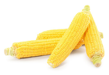 Many fresh ripe corncobs isolated on white