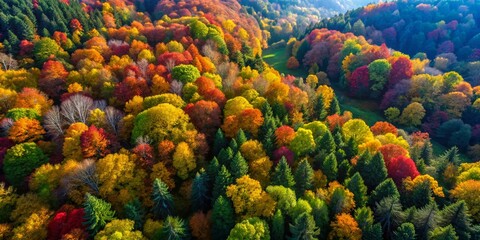 Aerial View of Lush Trees from Below with Cinematic Depth and Vibrant Colors