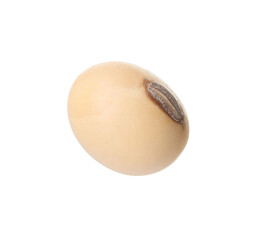One raw soy bean isolated on white